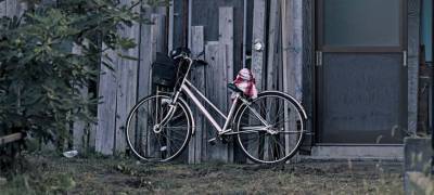 Молодой человек продал прохожему чужой велосипед за 250 рублей в поселке Карелии