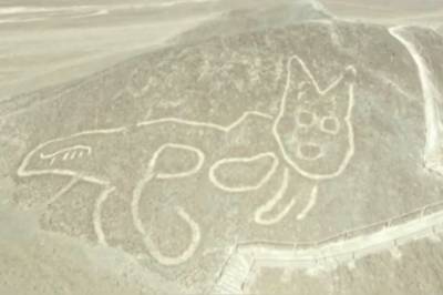 В Перу археологи обнаружили огромный геоглиф кошки