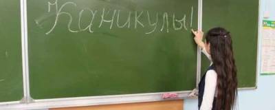 Школьников Новгородской области могут отправить на долгие каникулы