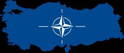 В США предложили исключить из НАТО Турцию