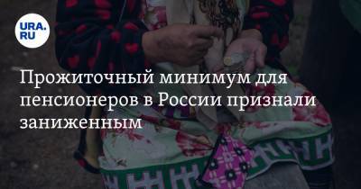 Прожиточный минимум для пенсионеров в России признали заниженным