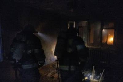 В Тульской области спасатели ликвидировали пожар