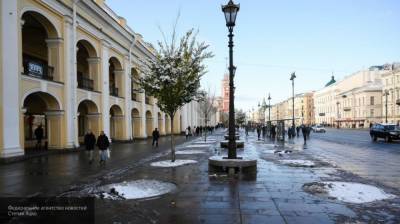 Уборочная техника проехалась по улицам Петербурга в первый день снега