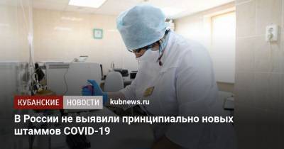 В России не выявили принципиально новых штаммов COVID-19