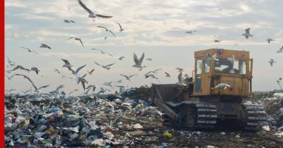 Реформа мусору не помеха: почему Россия тонет в отходах