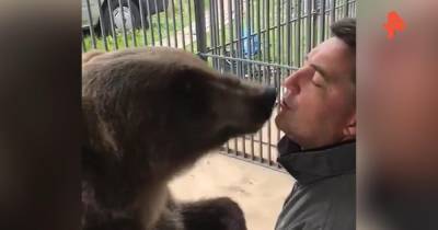 Впервые за 10 лет: в цирке рассказали о нападении медведя на хозяина