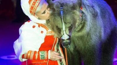 Стали известны подробности нападения медведя на людей в цирке в Подмосковье