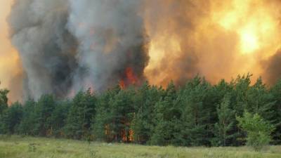 В крупном пожаре в селе под Воронежем подозревают поджигателей