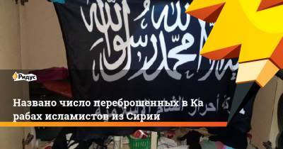 Названо число переброшенных вКарабах исламистов изСирии