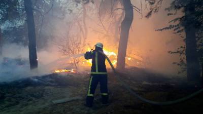 По меньшей мере девять человек погибли в результате лесных пожаров на востоке Украины
