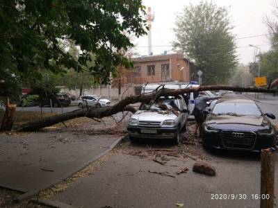 Более 60 аварийных ситуаций произошло в Ростове из-за сильного ветра