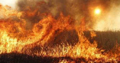 В Калининградской области за вечер сгорели два заброшенных здания и остановка
