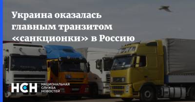 Украина оказалась главным транзитом «санкционки» в Россию