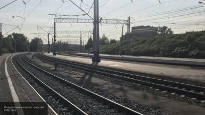 Японцы с одобрением отнеслись к модернизации железной дороги на Сахалине
