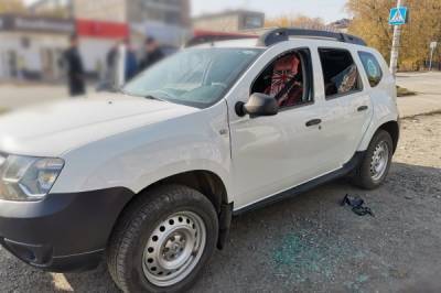 В Перми зоозащитники избили сотрудника мэрии