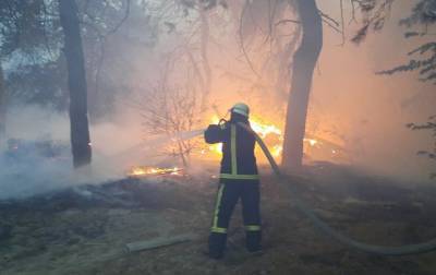 В Луганской области усугубились пожары