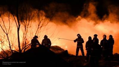 Спасатели предотвратили распространение огня в Воронежской области