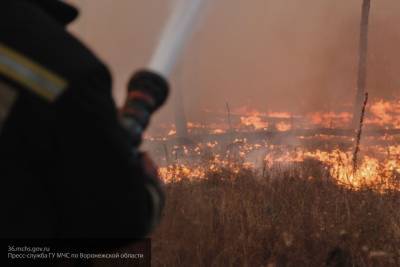 Несколько крупных ландшафтных пожаров локализованы в Воронежской области