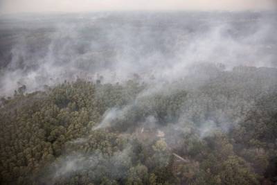 Пожары в Луганской области: в опасности 30 населённых пунктов