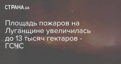 Площадь пожаров на Луганщине увеличилась до 13 тысяч гектаров - ГСЧС