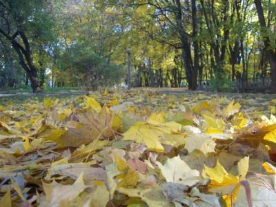 В сентябре в Киеве зафиксировали новый температурный рекорд