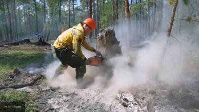 Два природных пожара в Воронежской области локализованы