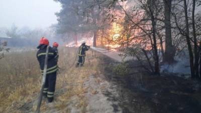 Пожары в Луганской области: горит 11 тыс. гектаров, не локализовано 17 очагов огня