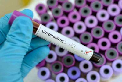 В Петербурге за сутки тест на коронавирус сдали свыше 30 тысяч человек