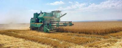 В Московской области заканчивается уборка зерновых, зернобобовых и масличных культур