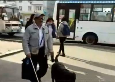 «Её везти не буду»: в Стерлитамаке водитель не пустил в маршрутку слепого с собакой