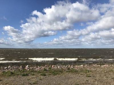 Экоактвистка назвала самые грязные пляжи Финского залива