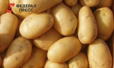В Упоровском районе собран рекордный урожай картофеля
