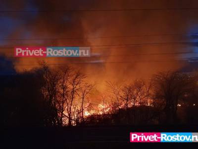 Голубев посетил хутор в Каменском районе, пострадавший от ландшафтного пожара