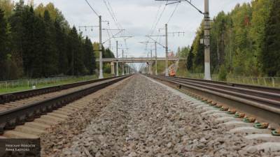 Японцы одобрили модернизацию сахалинских железных дорог