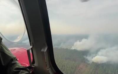 Пожары в Луганской области показали с воздуха