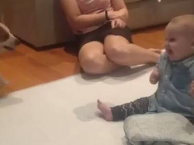 Ребенок впервые в жизни увидел щенка: реакция малыша рассмешила Сеть