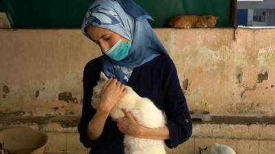 Марокканка продала свою землю ради корма для кошек.