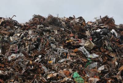 Петербургская компания вывалила мусора на полмиллиона в Шушарах