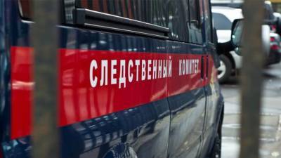 В Челябинской области обнаружен труп младенца