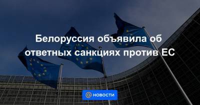 Белоруссия объявила об ответных санкциях против ЕС