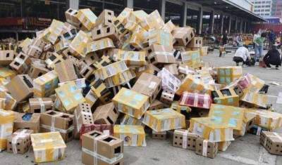 В Китае обнаружили 5 тысяч контейнеров с мёртвыми животными