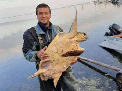 В Херсонской области мужчина на курорте поймал крупную черепаху