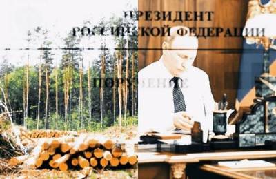 Эксперт «Гринпис» Михаил Крейндлин дал оценку предложениям президента по защите российских лесов