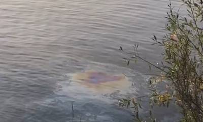 «Нам второго Норильска не нужно». В Сортавале туристы обнаружили огромное мазутное пятно в озере