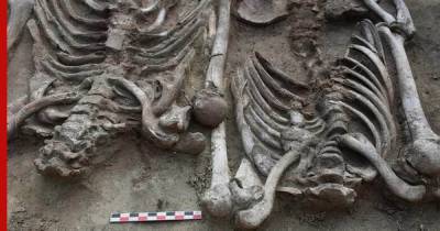 В Сибири нашли «жуткую» братскую могилу возрастом 5000 лет