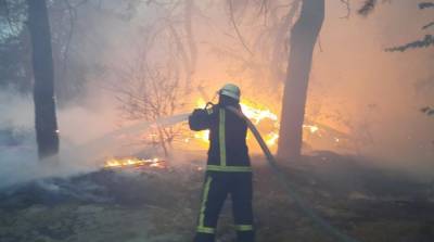 Пожары в Луганской области: названо новое число жертв