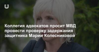 Коллегия адвокатов просит МВД провести проверку задержания защитника Марии Колесниковой