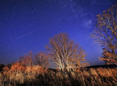 Скоро жители Земли смогут полюбоваться на метеорный поток Ориониды: когда ожидать яркое космическое явление