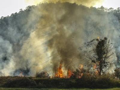 Пожары охватили 430 га в Ростовской области