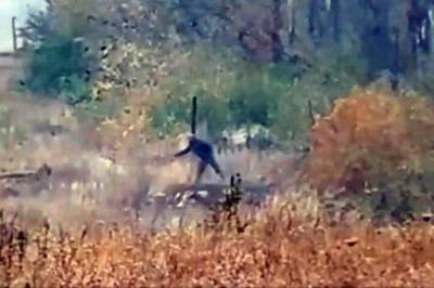 Появилось видео поджогов террористами «ЛНР» сухостоя в Луганской области